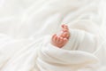 Legs, feet of a newborn baby on a white background, happiness in small legs, mother`s love Royalty Free Stock Photo