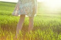 Legs in field in morning