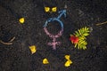 Gender symbol on asphalt, gender concept Royalty Free Stock Photo