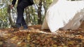 Legs of groom with bride in the forest park. Wedding couple. Happy family