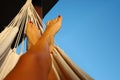 Legs in hammock Royalty Free Stock Photo