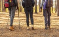 Legs of hikers walking by forest, cropped