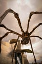 Between the Legs of a Huge Spider called Maman