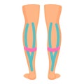 Legs kinesio tape icon cartoon vector. Medical support