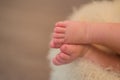 Legs a little baby in basket Royalty Free Stock Photo