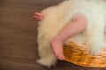 Legs a little baby in basket Royalty Free Stock Photo