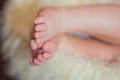 Legs a little baby in basket Royalty Free Stock Photo