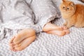 Legs of lovers under blanket. Happy couple having fun in bed Royalty Free Stock Photo