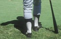 Legs of a major league baseball player Royalty Free Stock Photo