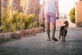 Stock photo of the legs of a man in pink shorts walking a dog, outdoor photography