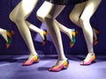 Legs, Mannequins Wearing Gucci Shoes, NYC, NY, USA