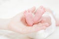 Legs of the newborn baby Royalty Free Stock Photo