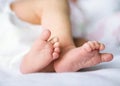 Legs newborn baby Royalty Free Stock Photo