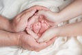 Legs of a newborn baby in the arms of his parents, mom and dad Royalty Free Stock Photo