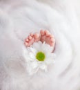 Legs of a newborn baby, a child in the hands of parents, parental love and care