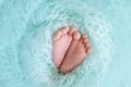 Legs of a newborn baby close up on a blue background Royalty Free Stock Photo