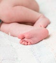 Legs newborn baby Royalty Free Stock Photo