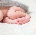 Legs newborn baby Royalty Free Stock Photo