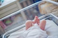 Legs of a newborn baby lying in a couveuse. The child has just been born and is in the hospital clinic with his mother. Natural Royalty Free Stock Photo