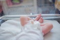 Legs of a newborn baby lying in a couveuse. The child has just been born and is in the hospital clinic with his mother. Natural Royalty Free Stock Photo