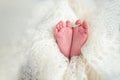 Legs of a newborn baby with mom`s wedding ring in a warm white wool rug. Happy Family concept Royalty Free Stock Photo