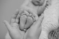 Legs of the newborn baby in mother`s hands Royalty Free Stock Photo
