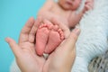 Legs of the newborn baby in mother`s hands Royalty Free Stock Photo