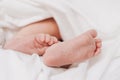 The legs of a newborn baby are wrapped in soft white blanket. Selective soft focus, close-up Royalty Free Stock Photo