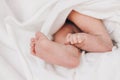 The legs of a newborn baby are wrapped in soft white blanket. Selective soft focus, close-up Royalty Free Stock Photo