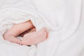 The legs of a newborn baby are wrapped in soft white blanket. Selective soft focus, close-up Royalty Free Stock Photo