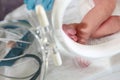 Legs of a newborn child in intensive care. Unrecognizable photo. The concept of saving lives Royalty Free Stock Photo