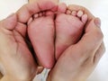 Legs of a newborn in the hands of parents. Little legs of a newborn baby in a big hand of an adult. the mother& x27;s hand Royalty Free Stock Photo