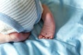 Legs of a newborn Royalty Free Stock Photo