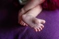 Legs of a newborn Royalty Free Stock Photo