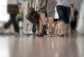 Legs of people in blurred motion, with reflection in floor