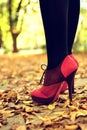 Legs with pink high-heels in park Royalty Free Stock Photo