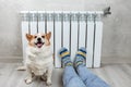 Legs on a radiator . A woman in warm knitted woolen socks and cute corgi dog near a home heater in the cold autumn-winter season. Royalty Free Stock Photo