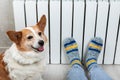 A woman in warm knitted woolen socks and cute corgi dog near a home heater in the cold autumn-winter season. Royalty Free Stock Photo