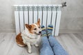 . A woman in warm knitted woolen socks and cute corgi dog near a home heater in the cold autumn-winter season. Royalty Free Stock Photo