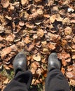 Legs shod in galoshes against the background of fallen leaves.