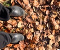 Legs shod in galoshes the background of fallen leaves