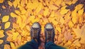 Legs shoes yellow leaves autumn fall foot footwear park leaf looking down background copy space denim ground jean leg nature Royalty Free Stock Photo