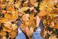 Legs in sport shoes standing on yellow brown autumn dry maple leaves. Feet in shoes walking in fall nature Royalty Free Stock Photo