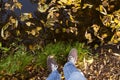 Legs in sport shoes on yellow autumn leaves in grass. Footwear, fall and season concept Royalty Free Stock Photo