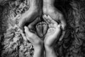 Legs and toes of a newborn. Parents hold the legs of the newborn in their palms. The palms of the father and mother.