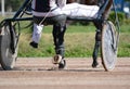 Legs of a brown trotter horse and horse harness. Harness horse racing in details. Royalty Free Stock Photo