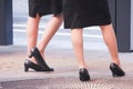 Legs of two business women Royalty Free Stock Photo
