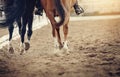 Legs of two sports horses galloping around the arena Royalty Free Stock Photo