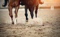 Legs of two sports horses galloping around the arena Royalty Free Stock Photo