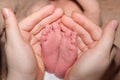 The legs of a two-week-old baby are in the hands of a mother. The palms of a woman and the feet of a child, the love and Royalty Free Stock Photo